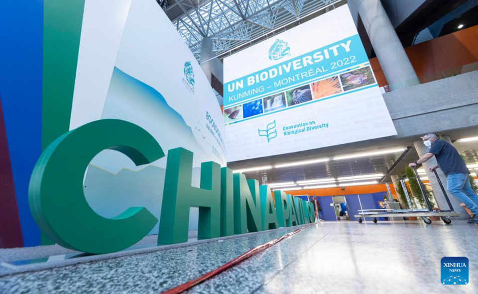 A worker pushes a cart past the China Pavilion of the second part of the 15th meeting of the Conference of the Parties (COP15) to the UN Convention on Biological Diversity (CBD) in Montreal, Canada, on Dec. 6, 2022. The second part of the 15th meeting of the Conference of the Parties (COP15) is scheduled for Dec. 7-19 in Montreal. (Photo by Zou Zheng/Xinhua)