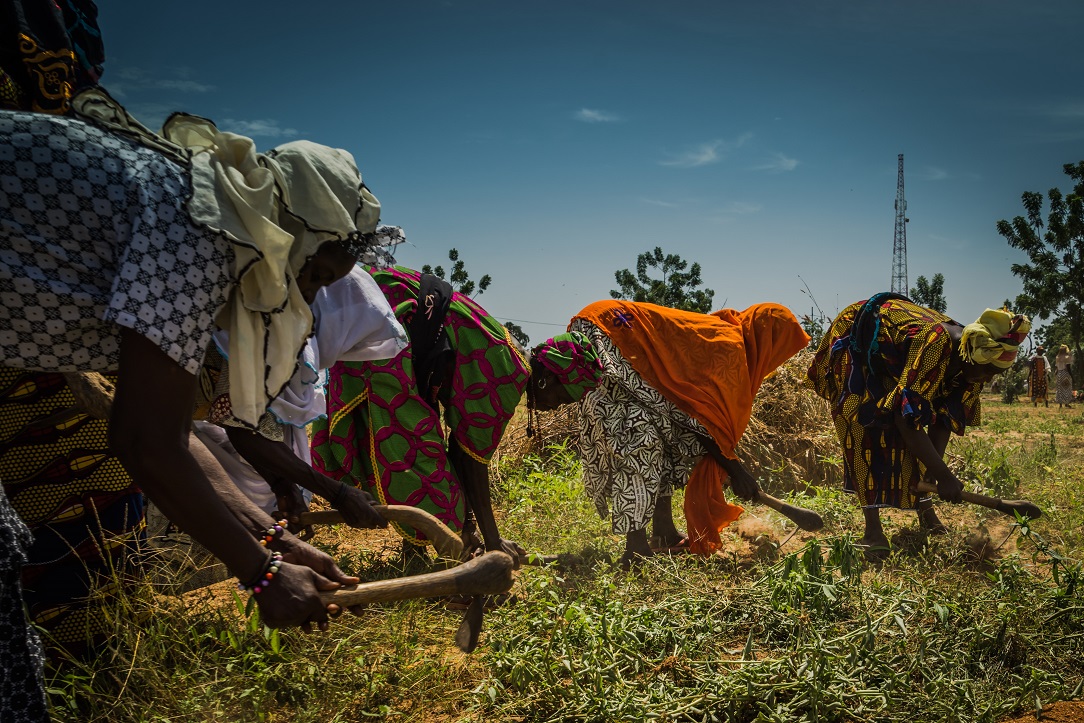 Imen Meliane / PNUD Adaptation climatique Mali