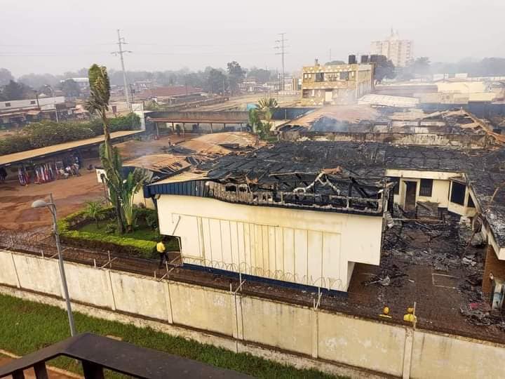 © Tongolo Ti BeAfrica © Tongolo Ti BeAfrica