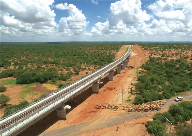 Wild animals pass through a passage built under the Mombasa-Nairobi Standard Gauge Railway (SGR) in Kenya. A total of 14 large wildlife passages have been set up along the entire railway in consideration of the living habits of wild animals. (Photo courtesy of the China Communications Construction)