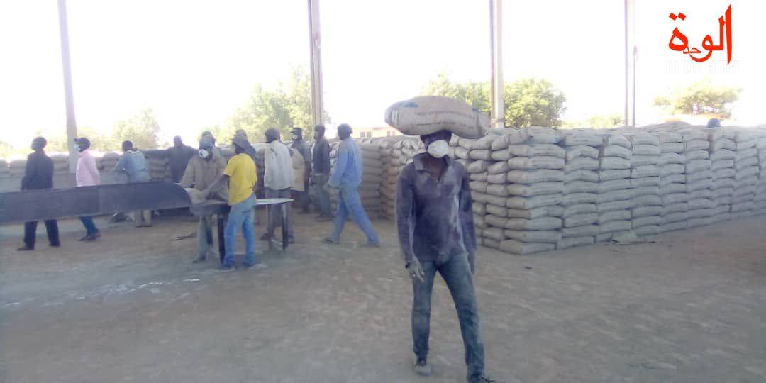 Tchad : des techniciens de la cimenterie de Baoré inquiets d'une possible réduction d'effectifs