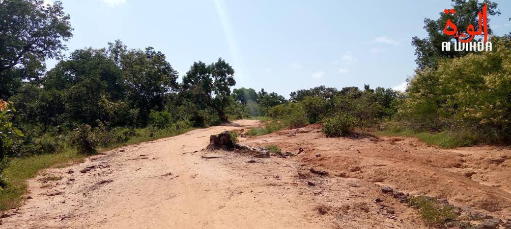 Tchad : un homme kidnappé et sa famille sommée de ne pas alerter les forces de l'ordre Tchad : un homme kidnappé et sa famille sommée de ne pas alerter les forces de l'ordre