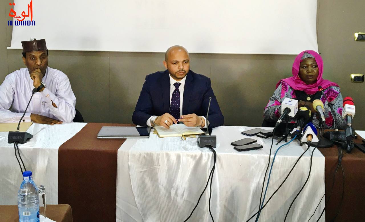 Projet d'électrification du Tchad : la BAD investit 13 milliards FCFA pour Biltine, Bol et Bongor Projet d'électrification du Tchad : la BAD investit 13 milliards FCFA pour Biltine, Bol et Bongor