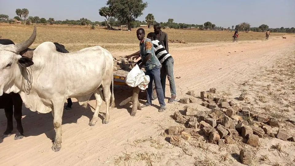 Tchad : la communauté Kolon prend en main l'arrangement de la route Bandjang-Bagando