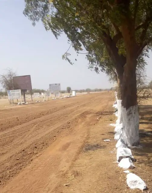 Tchad : un corps retrouvé près du parc automobile à Mongo