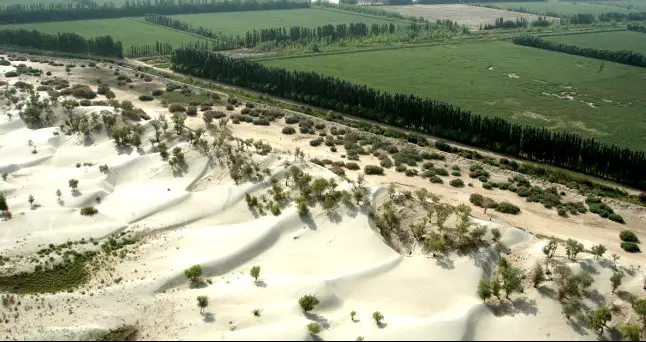 Photo shows an afforestation project in Kekeya, northwest China's Xinjiang Uygur autonomous region. (Photo from Aksu Daily)