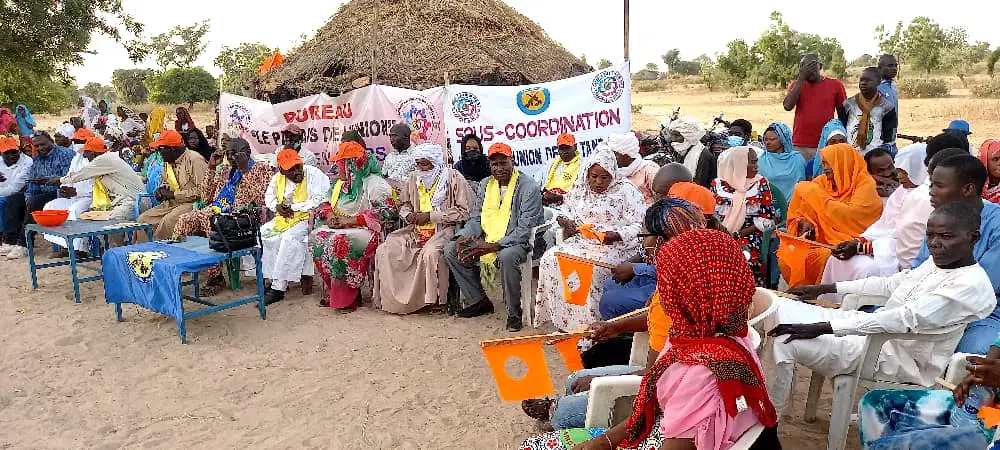 Tchad : le palais de l'Union de la Tandjile installe la cellule des éleveurs