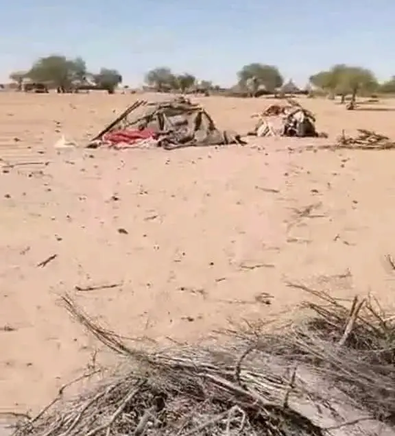 Tchad : un incendie dévastateur ravage un village dans le Kanem