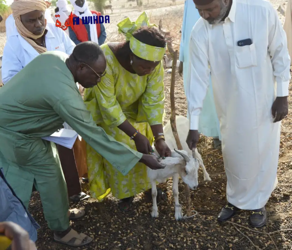 Tchad : une délégation ministérielle mène une campagne de vaccination et de marquage des animaux au Lac
