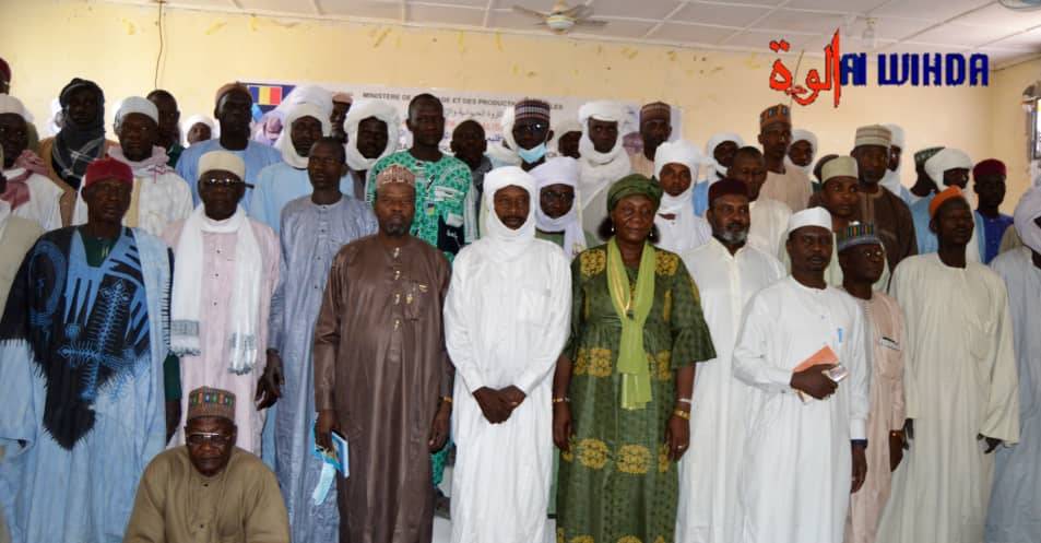 Tchad : un traitement spécial de redevance PPCB pour les éleveurs du Lac Tchad : un traitement spécial de redevance PPCB pour les éleveurs du Lac