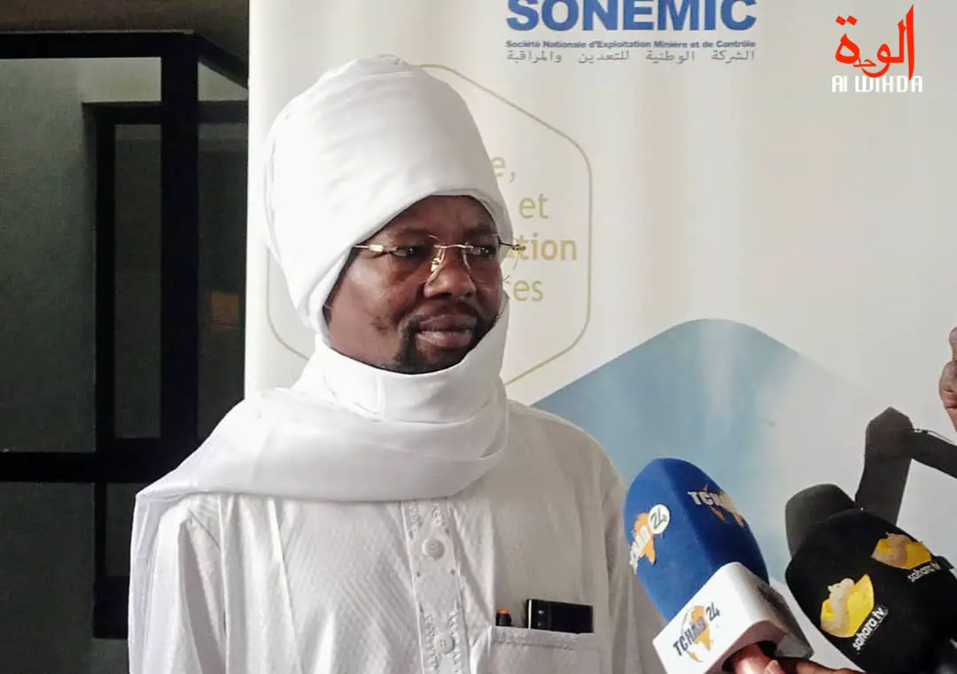 Tchad : conseil d'administration de la SONEMIC, plan d'action pour l'avenir du secteur minier