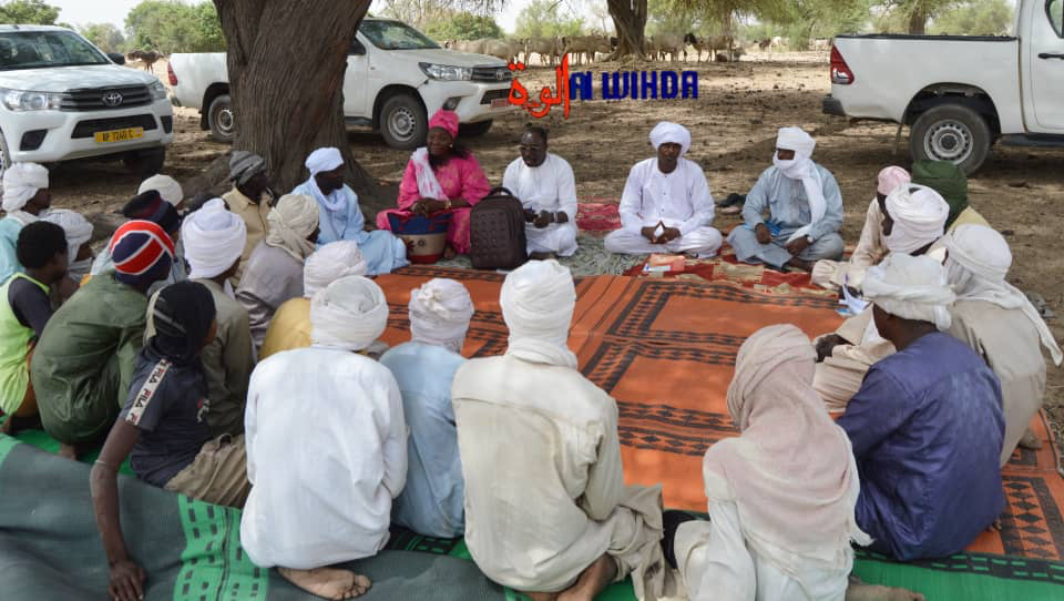 Tchad : le manque d'eau et la vaccination du bétail, des défis majeurs pour les éleveurs du Guéra