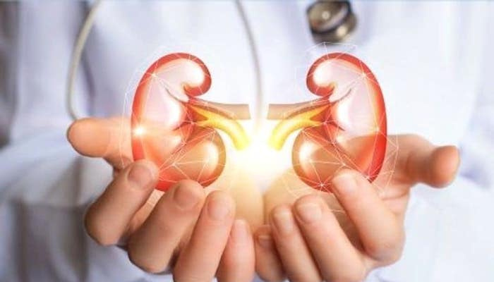 Moyen-Orient et Afrique : des lacunes dans les soins de l'insuffisance rénale chronique Moyen-Orient et Afrique : des lacunes dans les soins de l'insuffisance rénale chronique