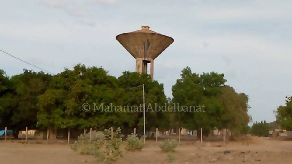 Tchad : à Am-Timan, l'eau est une denrée inexistante ou rarement disponible