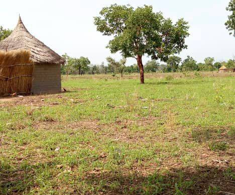 Tchad : le grenier, une pratique ancestrale de conservation en voie de disparition Tchad : le grenier, une pratique ancestrale de conservation en voie de disparition