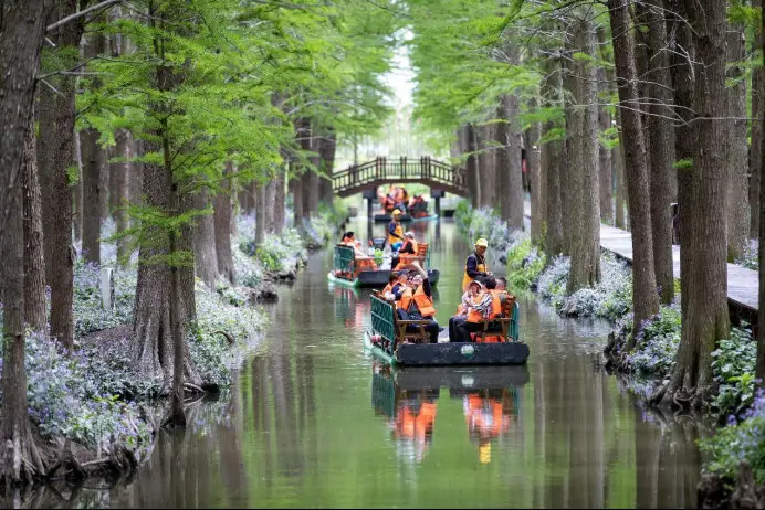 Tourists are boating in a national wetland park in east China's Jiangsu province, April 29, 2023. (Photo by Zhou Shegen/People's Daily Online)
