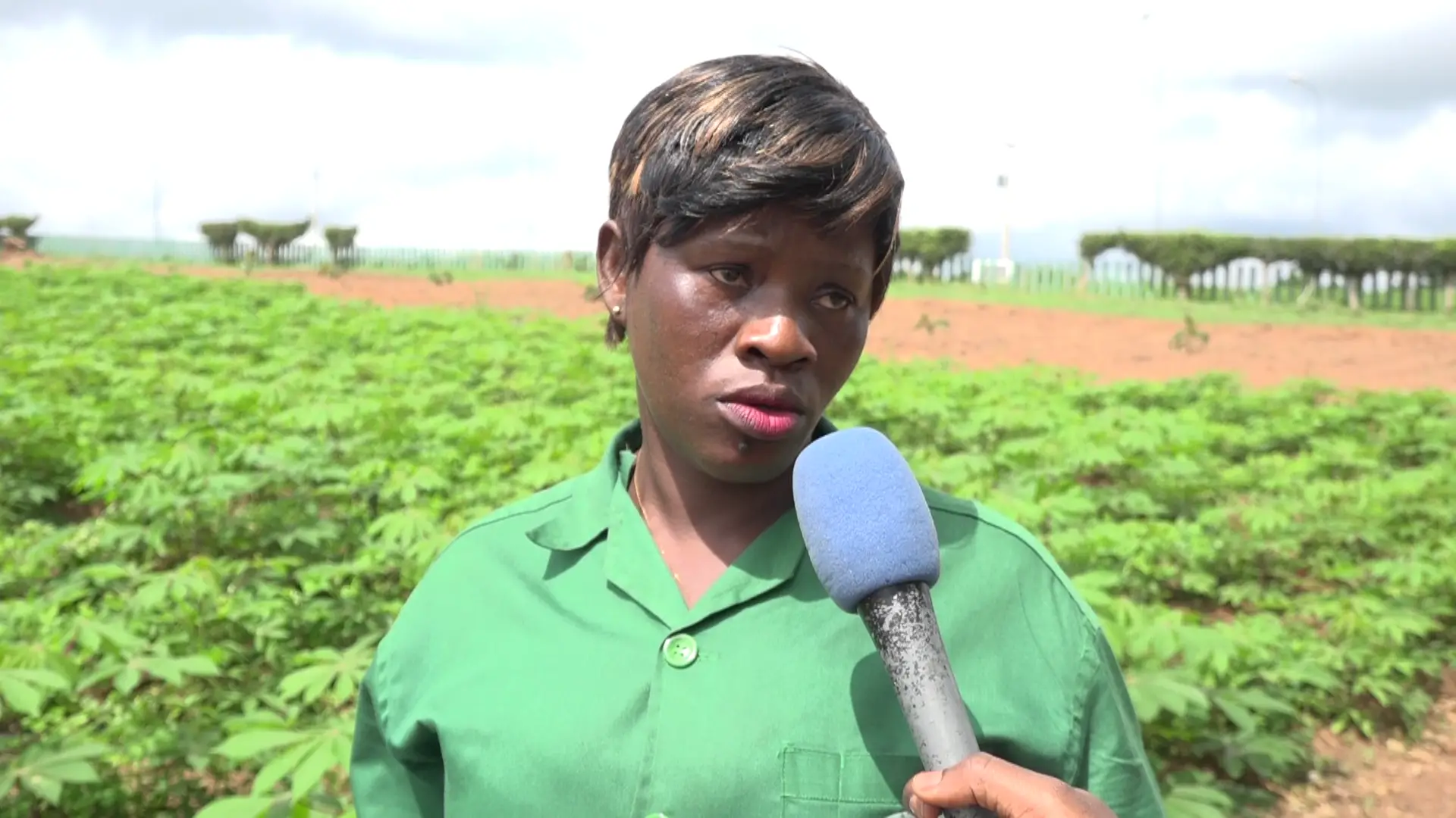 Côte d’Ivoire : Viviane, jeune diplômée ne jure que par l’agriculture pour réaliser ses rêves