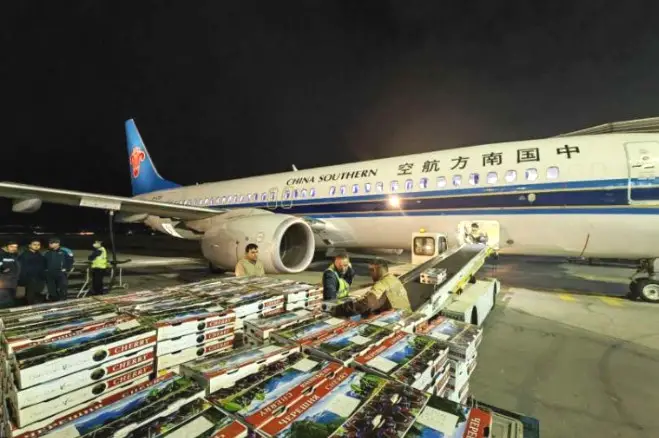 A plane carrying 1.2 tons of cherries arrives in Urumqi, northwest China's Xinjiang Uygur autonomous region from Tajikistan, April 28. (Photo from Shiliuyun)