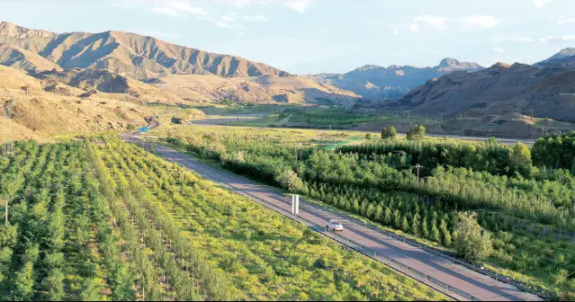 Photo shows a treated area of Helan Mountain in Shizuishan, northwest China's Ningxia Hui autonomous region. (Photo courtesy of the publicity department of the Communist Party of China Shizuishan municipal committee)