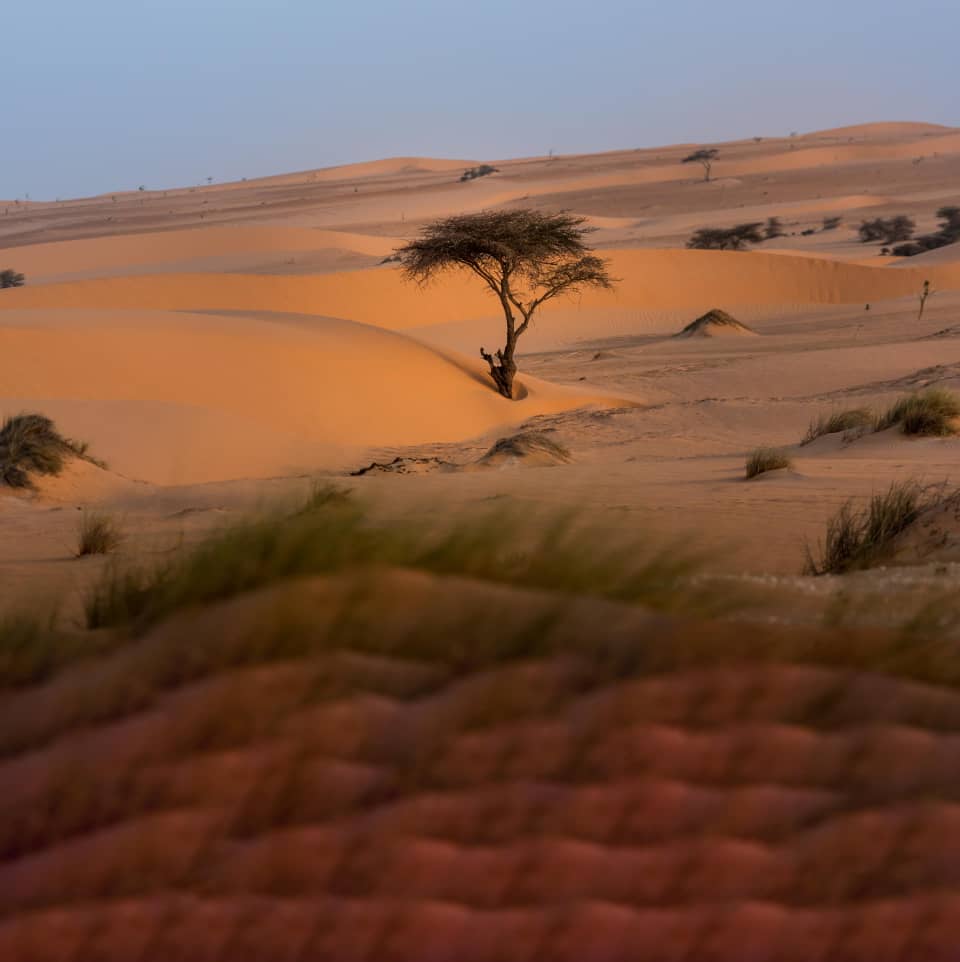 Illustration © DR Illustration © DR