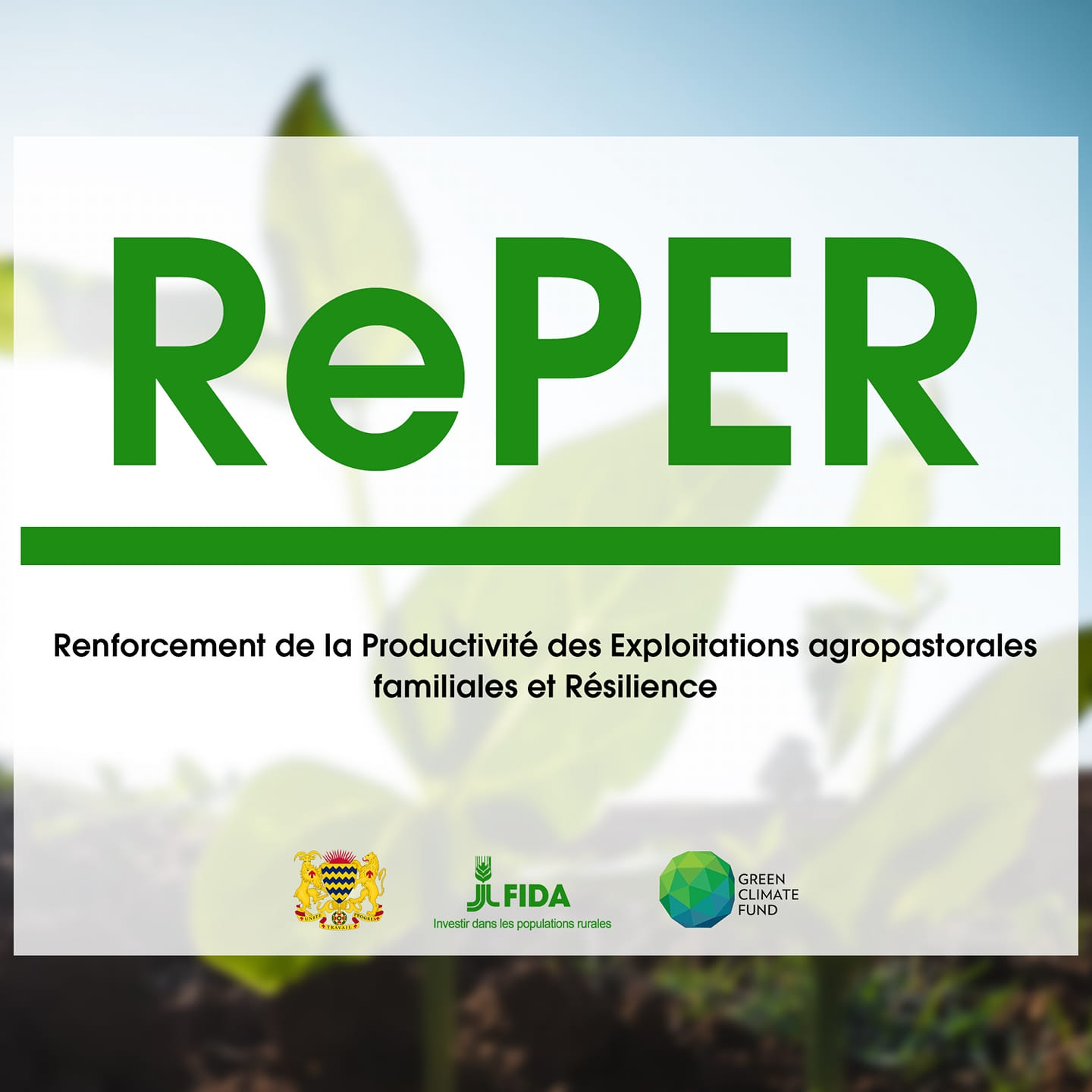 Logo du Projet RePER