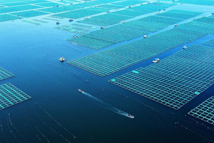 Photo shows a marine ranch in Rongcheng, east China's Shandong province. (Photo by Wang Fudong/People's Daily Online) Photo shows a marine ranch in Rongcheng, east China's Shandong province. (Photo by Wang Fudong/People's Daily Online)