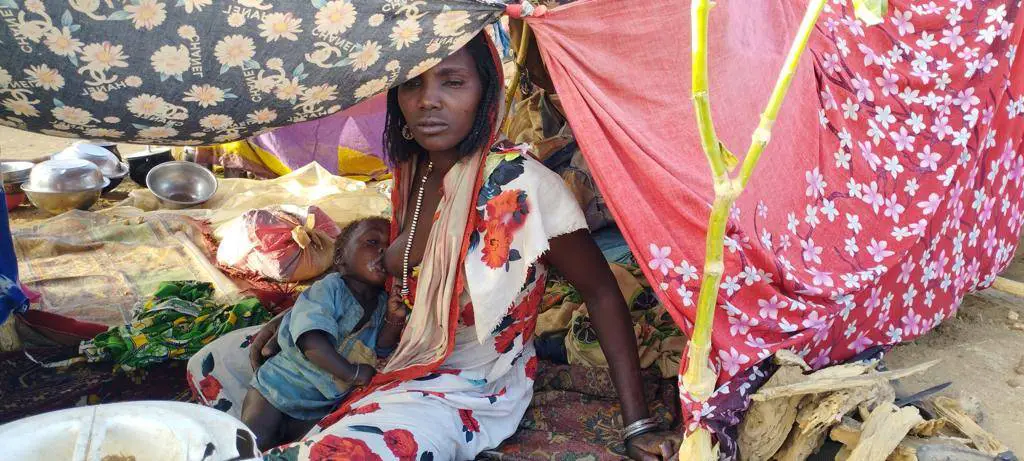Soudan : plus de 6000 réfugiés fuient El Geneina pour se réfugier au Tchad en trois jours
