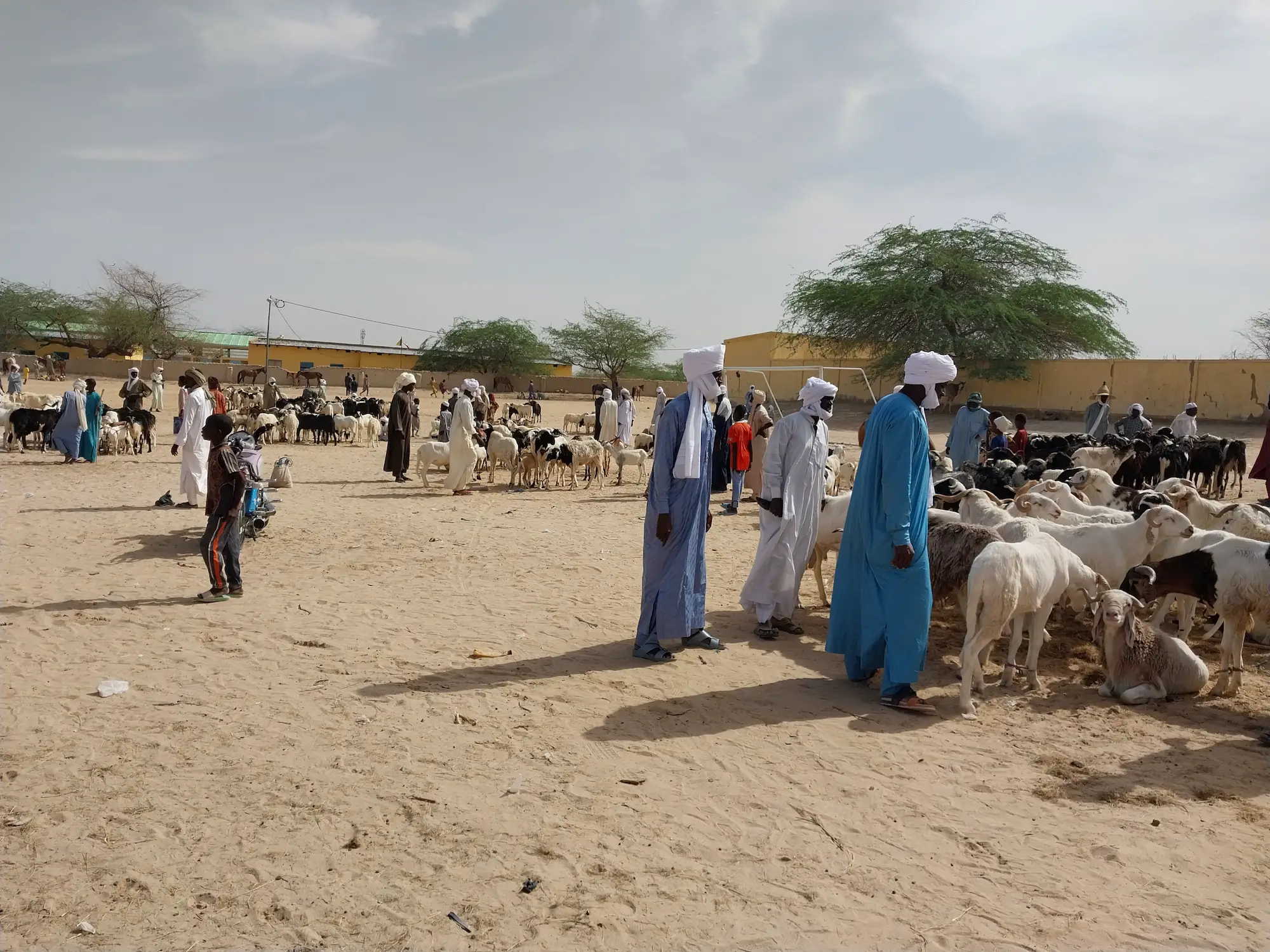 Tchad : une fête de Tabaski hors de portée pour certains fidèles à Mao. © Djidda Mahamat Oumar/Alwihda Info