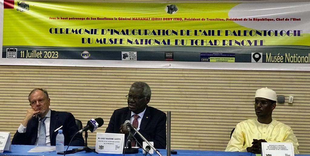 Tchad : le Musée national dévoile son aile Paléontologie