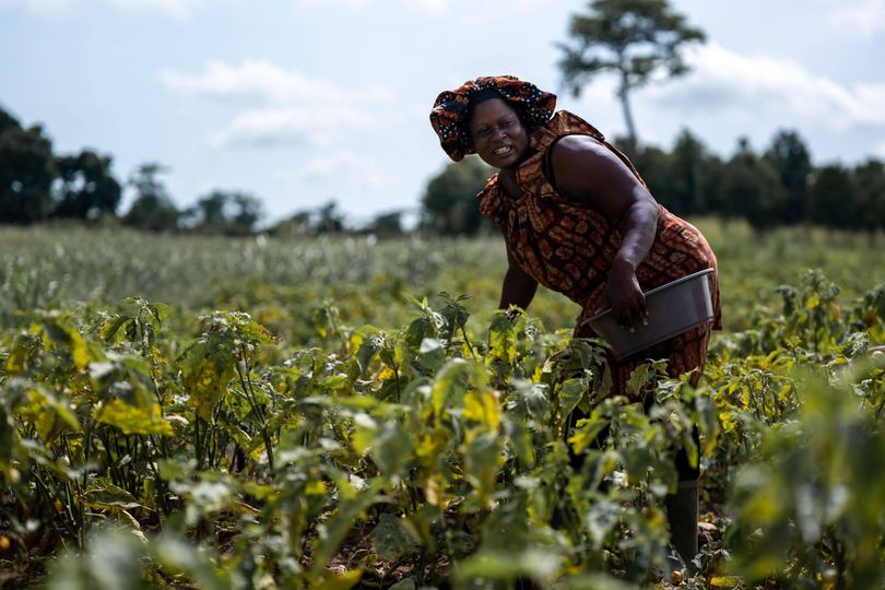 Côte d’Ivoire : garantie de crédit de 400 millions d’euros de la BAD pour mobiliser un emprunt durable
