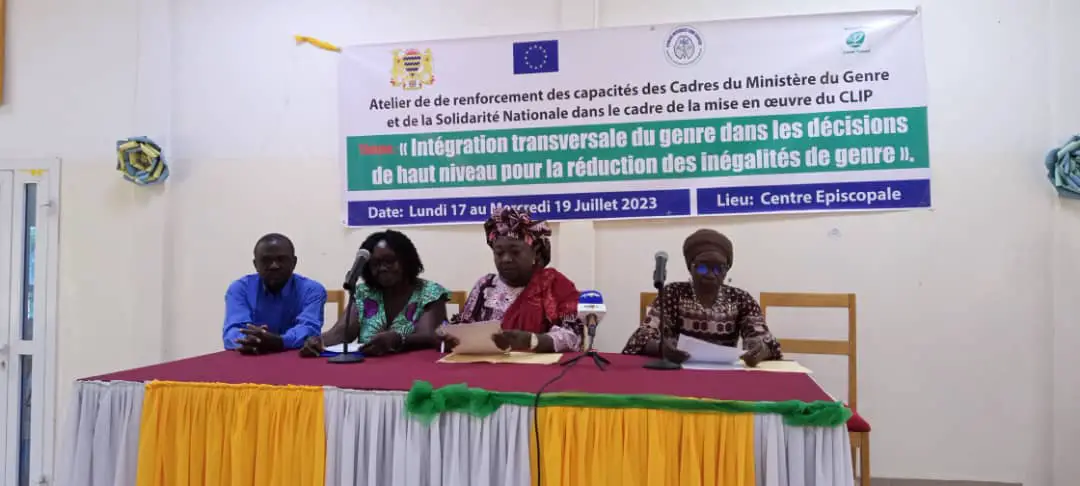Tchad : des cadres ministériels formés sur l'intégration transversale du genre