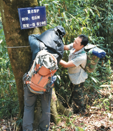 China's Yunnan sees progress in protecting plant species with extremely small populations