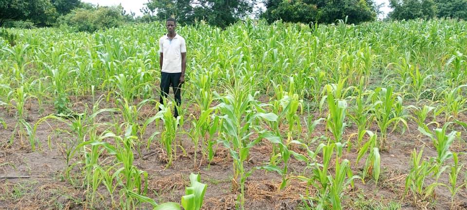 Tchad : l'ONG ESEDD en action contre les dégâts des aléas climatiques dans la Nya