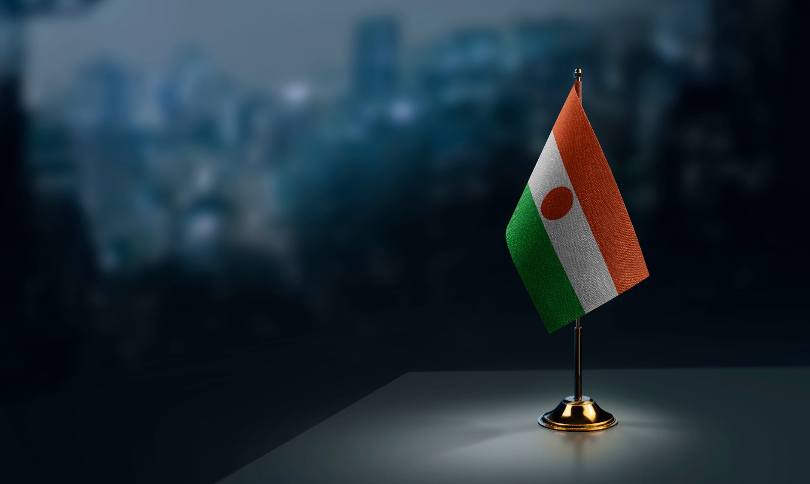 Niger : la Chambre Africaine de l'énergie condamne fermement le coup d'État