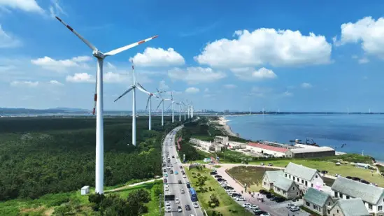 Photo shows a wind farm near a seaside scenic area in Rongcheng, east China's Shandong province. (Photo by Wang Fudong/People's Daily Online)