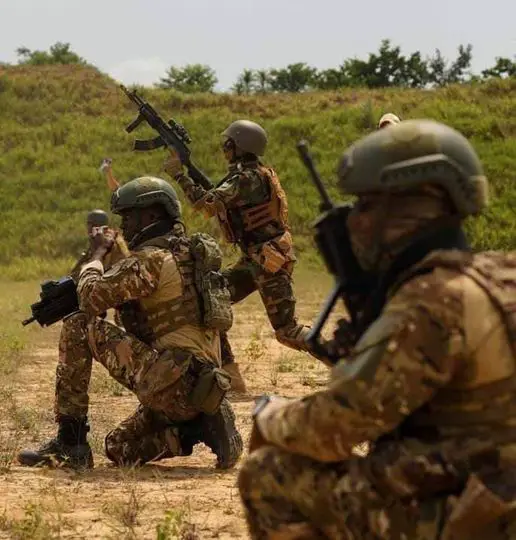 Niger : l'armée déploie des renforts dans la capitale Niamey