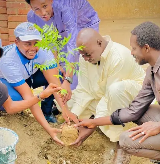 Tchad : l'Association la propriété urbaine a mis en terre des plants au lycée franco-arabe d'Abéché