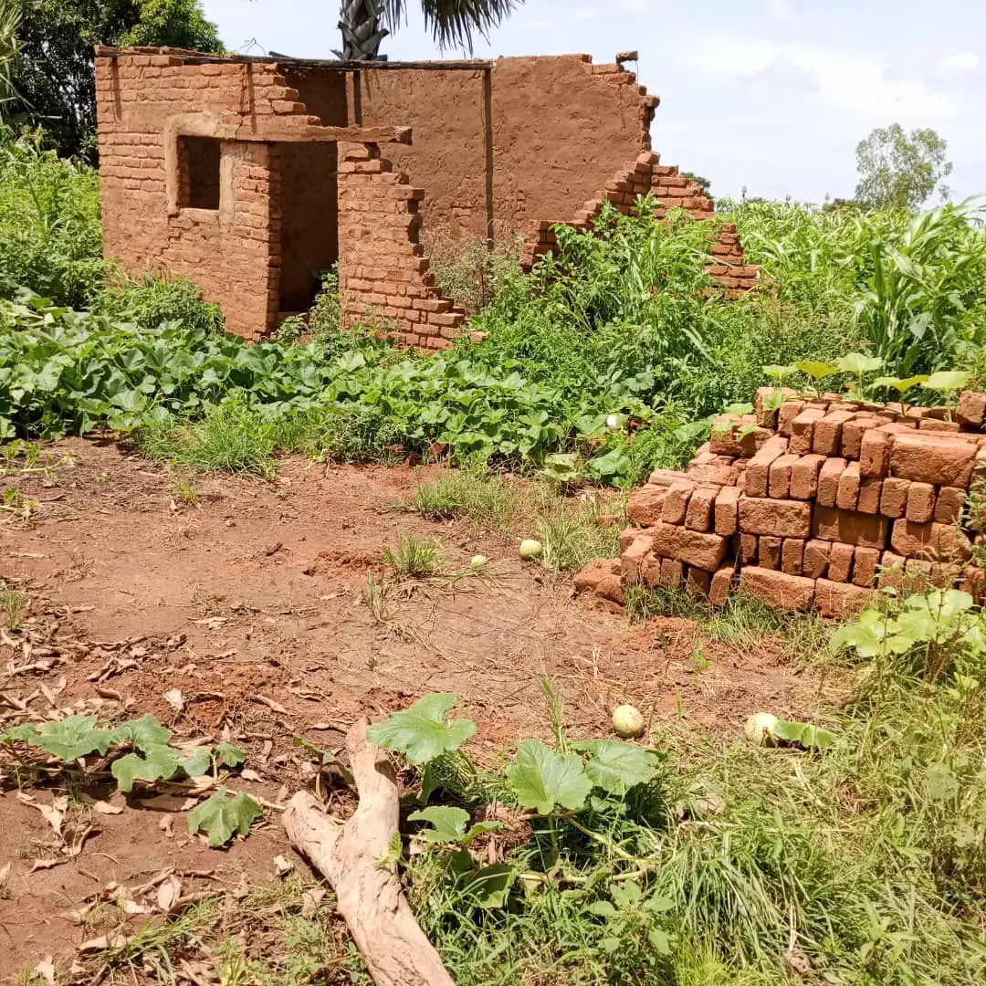 Tchad : bilan alarmant de 233 maisons détruites par les intempéries à Mbikou