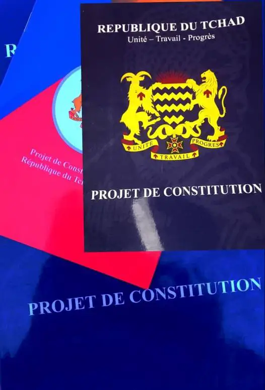 Tchad : projet de Constitution, que deviendra l’Assemblée nationale après la naissance du Sénat ?