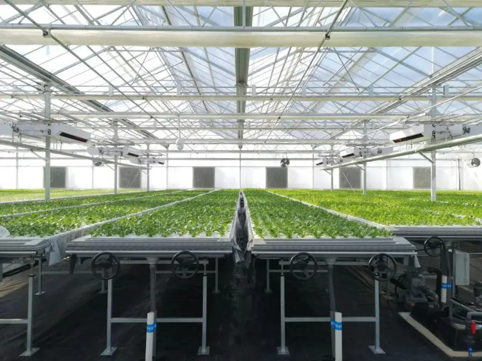 Photo shows the "plant factory" of Shenyang Qiushi Agricultural Sci-Tech Development Co., Ltd. in Xinmin, Liaoning province. (Photo provided by Shenyang Qiushi Agricultural Sci-Tech Development Co., Ltd.)