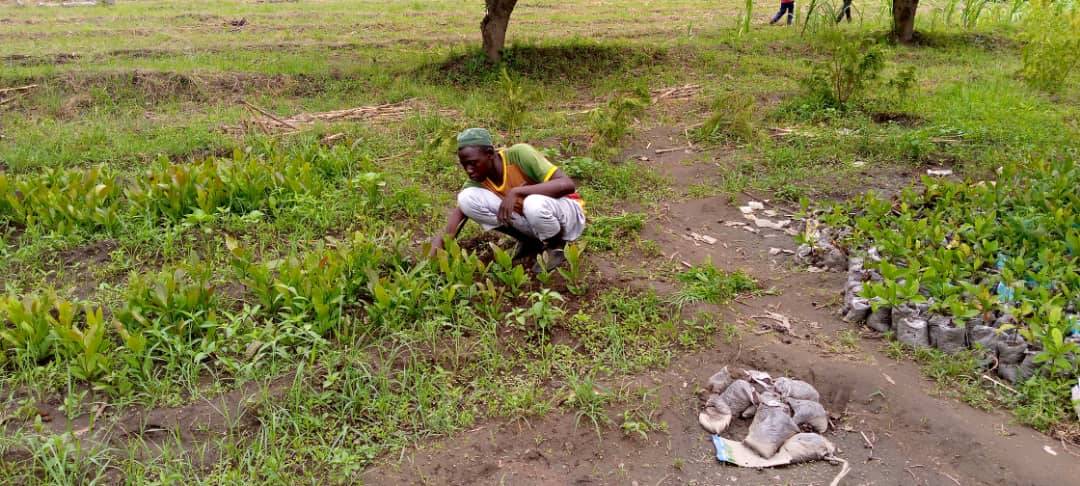 Tchad : le complexe Al-Manarat Al-Islam de Mabrouka, berceau du vivre ensemble Tchad : le complexe Al-Manarat Al-Islam de Mabrouka, berceau du vivre ensemble