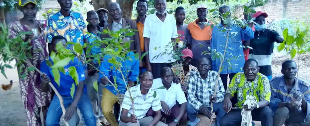 Tchad : Bébédjia se pare de vert grâce à l'initiative d'une fondation