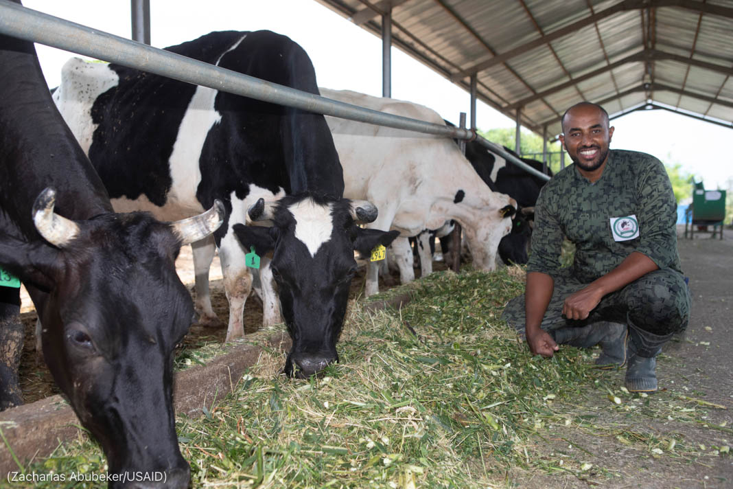 Eskender Yoseph, dans sa ferme laitière en Éthiopie, forme d’autres agriculteurs à l’utilisation du matériel fourni par le gouvernement américain. (Zacharias Abubeker/USAID)