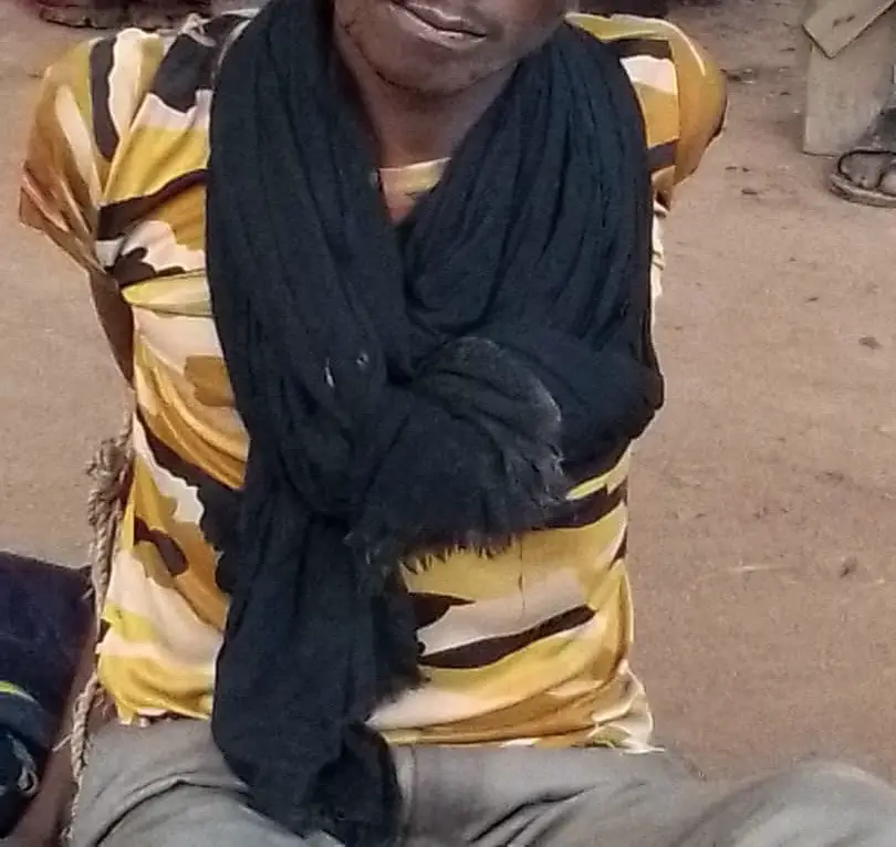 Tchad : des voleurs de bétail appréhendés à Dankoutou, un propriétaire déterminé