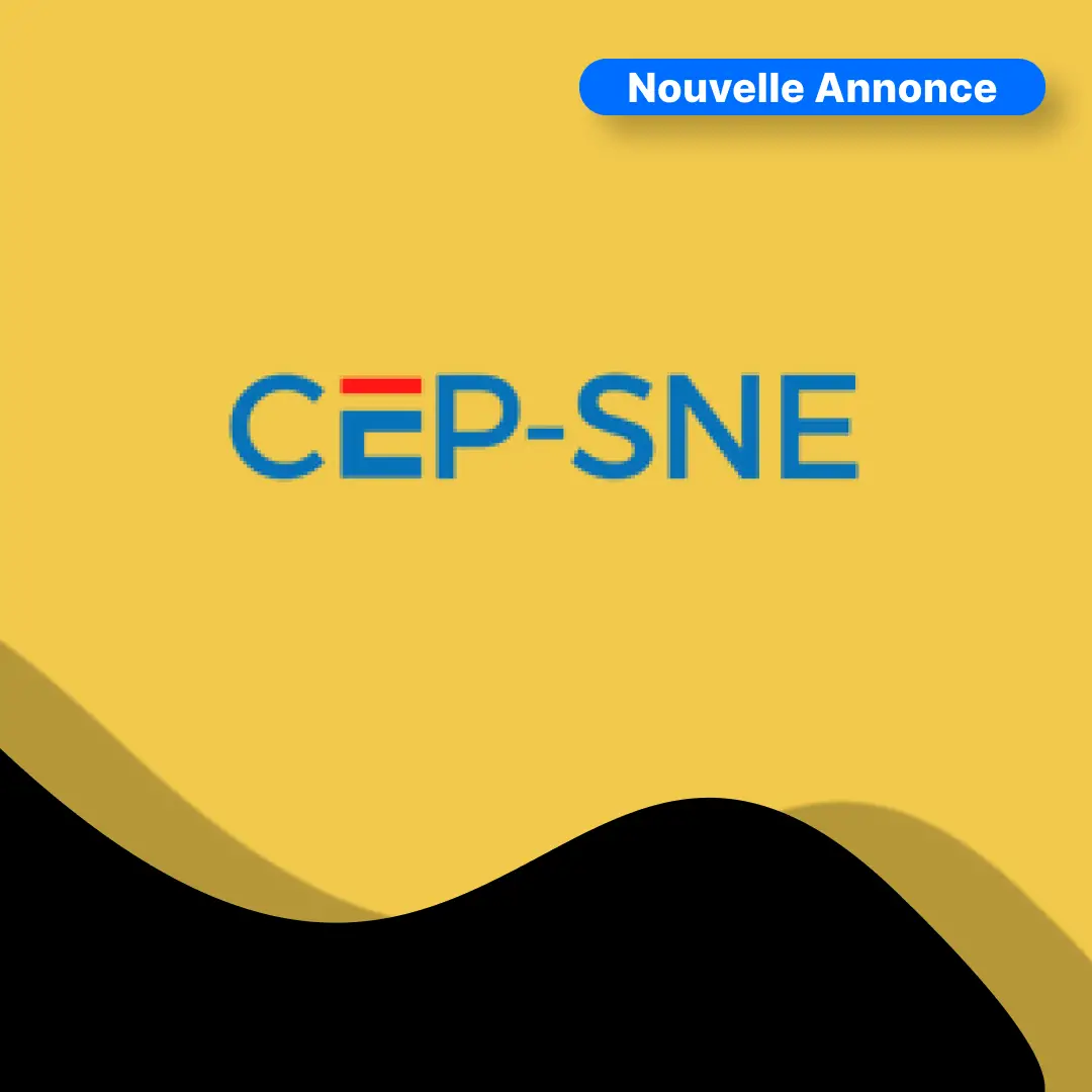 La Cellule d'Exécution des Projets de la Société Nationale d'Électricité (CEP SNE)