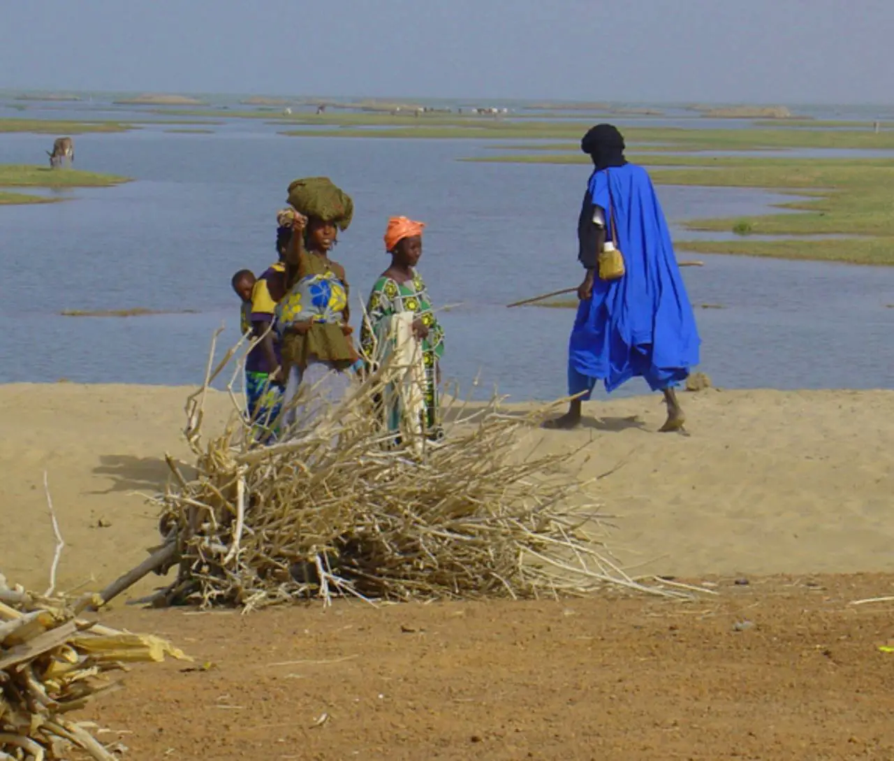 Sahel : les eaux souterraines peuvent irriguer 2 à 3 millions d’hectares (Banque mondiale)