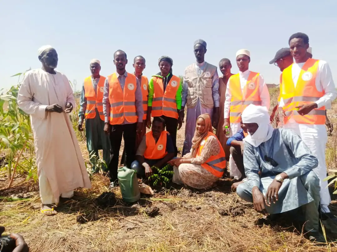 Tchad : l'AJVH poursuit son initiative "Opération Un Million d'Arbres" à la ceinture verte