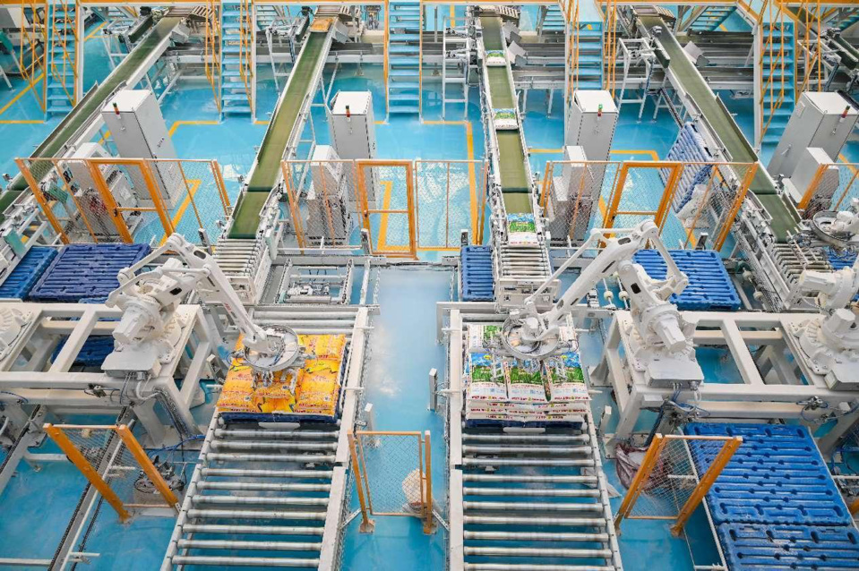 Robots are piling packed wheat flour in a workshop in an industrial park in Changji Hui autonomous prefecture, northwest China's Xinjiang Uygur autonomous region. (Photo by Tao Weiming/People's Daily Online)