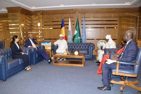 Transition au Tchad : La Francophonie dépêche une délégation à Ndjamena