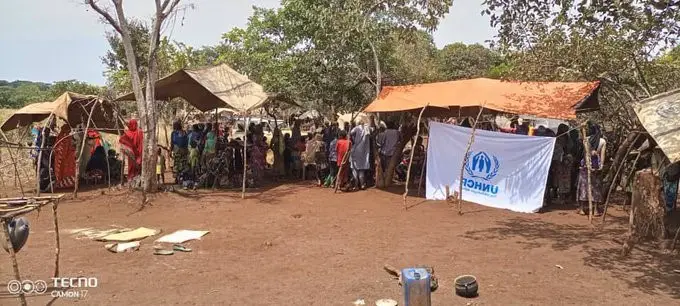 Centrafrique : Le HCR a démarré l’enregistrement d’environ 3000 soudanais